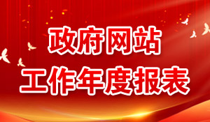 政府网站工作年度报表